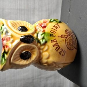 🦉 Vintage Cedar Point Ceramic Owl Toothpick Holder Boho Retro Decor